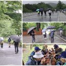 제342차 산행기(260620-과천대공원) 이미지