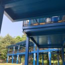 금남멧돼지 이미지