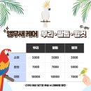로던트클럽 강서마곡점 이미지