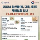 [2024년 임산물(밤, 대추, 호두) 재해보험 안내] 이미지