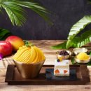 노보텔앰배서더 강남 이미지