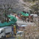 싱싱빅마켓 | 의정부 아파트 야시장 후기 야시장 맛집 의정부 야시장 일정