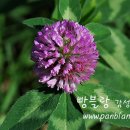 오늘의그릇 이미지