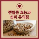 렌틸콩 효능 먹는법 부작용 알아봐요