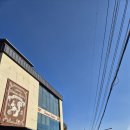 [고양카페] 동화같이 아기자기한 &lt;다람지베이커리&gt; 내돈내산 후기