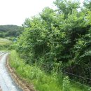 곡성-224 이미지