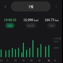 4분33초 | 45분의 벽을 넘다(feat. 하하호호 마라톤 후기)