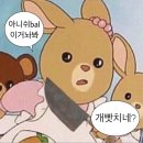 호주워홀🇦🇺 하 십알 도대체 얼마나 잘되려고 이런 액땜을 하는 걸까~~~~ ㅈ같네ㅎㅎ