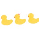 황룡초등학교 이미지