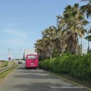 상모제일주유소 | 제주 렌트 준비하는 방법, 제주도 렌터카 가격&amp;리얼 후기