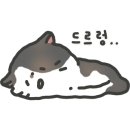 광명불가마사우나 이미지