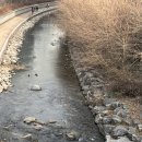 광기의 캠코더 구하기 : 동묘(믿음사,명성전자,연일전자,장난감가게), 세운상가