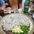 세꼬시 이미지