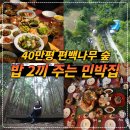 편백나무숲민박 이미지