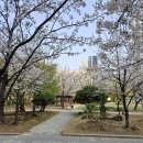 뉴현대114공인중개사사무소 | 서울시 서대문구 남가좌동 현대아파트 141/114 42평 전세