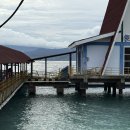 M.S.모산 | 발리(Bali) > 자바 섬(Java) | 덴파사르(Denpasar) > 말랑(Malang) | 엠트렌스(M trans) 버스 후기 | Day63