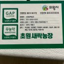 새싹농장 | 초원새싹농장 쌈채소종류 건강식단