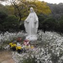 성모공원 이미지