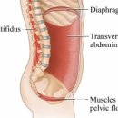 기전공원 이미지