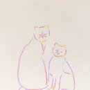 레인보우커스텀 이미지