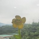 해바라기휴게실 이미지