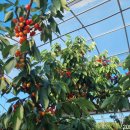 윤지농장 이미지