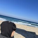 메가엠지씨커피양평물맑은 | [강원도 액티비티/정동진 편]-혼자 정동진 레일바이크를 타고 오다. 바다 보며 따라 달리는 레일바이크...