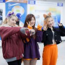 용인실내체육관 이미지