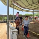 버클리) Joy Day! 승마🐎 이미지