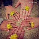 서울효사랑요양병원 | 성수동요양원 서울효사랑요양병원 전문가가 운영하는 요양병원