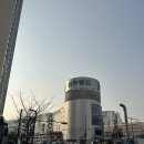 메디본약국 네이버블로그