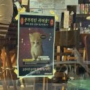 더한잔 | [대전/갈마동] 갈마동 신상 술집✨ 혼술하기 좋은 수제 맥주 맛집 ‘한잔’ 방문 후기