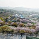 김포표고버섯농장 이미지