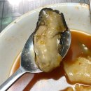 삼척 허구한날 문어숙회 골뱅이 맛집 후기 (feat. 문어의 효능)