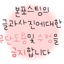 우면동물병원