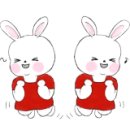 크라비앙코 이미지
