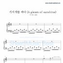 (주)오드아이앤씨 이미지