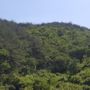 미천면-13 이미지