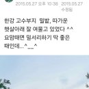 오월의 밀밭 이미지