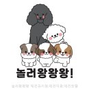 놀러왕왕왕 네이버블로그