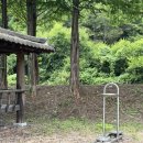 큰맘할매순대국 영월남면점 이미지