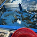 통복시장 로터리 이미지