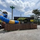 숲속캠핑장 | [경기/가평] 블루문 캠핑장 숲속존 이용후기 (시설, 장단점 등)