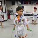 영남태권도장 이미지