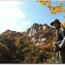 하나동산