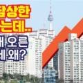 홍학모세무회계사무소