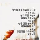 라노비아 이미지