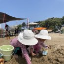 방아머리해변 화장실 이미지