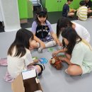 늘 해랑 태권도장 이미지