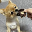 멈머(mummuh) 이미지